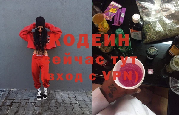 мдпв Корсаков
