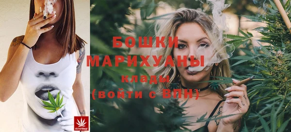 мдпв Корсаков
