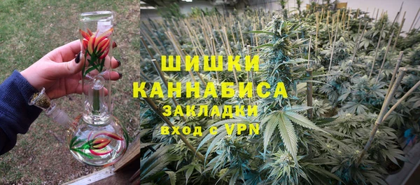 мдпв Корсаков