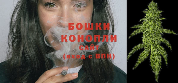 мдпв Корсаков