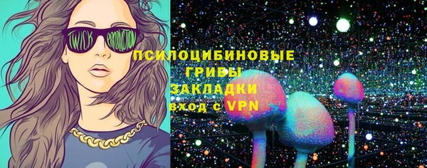 мдпв Корсаков
