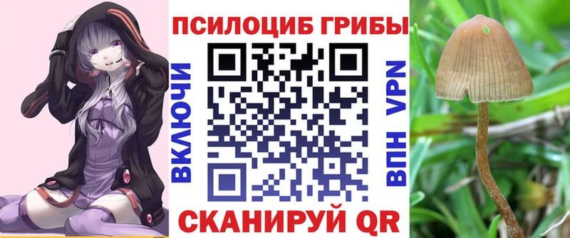 купить наркотики цена Муравленко Галлюциногенные грибы Psilocybine cubensis