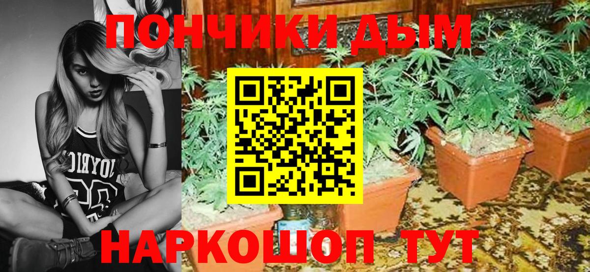 Бошки Шишки конопля  Шишки марихуана план  Вход с VPN  Муравленко  Канабис Amnesia 